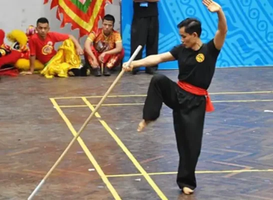 Roi Thuận Truyền – Tinh Hoa Võ Thuật Bình Định