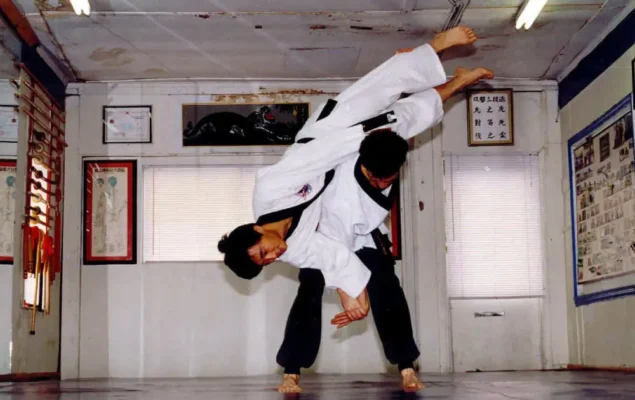Môn Võ Hapkido: 1 môn võ hiện đại có nguồn gốc từ Hàn Quốc