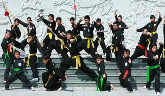 Khác Biệt Giữa 2 môn võ:  Võ Cổ Truyền Việt Nam và Võ Thiếu Lâm Trung Hoa